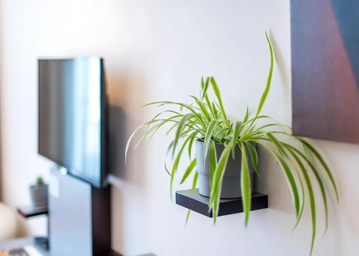 Stein - Schiller's Manufaktur Κόμπλεντς